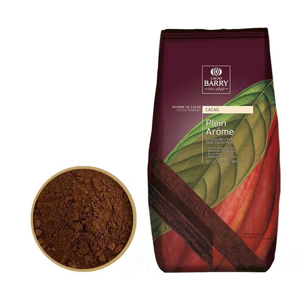 Какао-порошок алкализованный Cacao Barry Plein Arome (Какао Барри Плейн Арома) 200г.